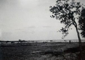 Fresh graves in Normandy 1944