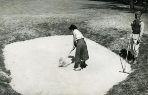 Poochie in sand trap at Delhi Golf Course