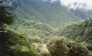 Mountain view outside Mussoorie